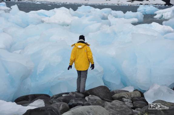 Examinando os pequenos icebergs na praia de Turret Point, em King George Island, na Antártida